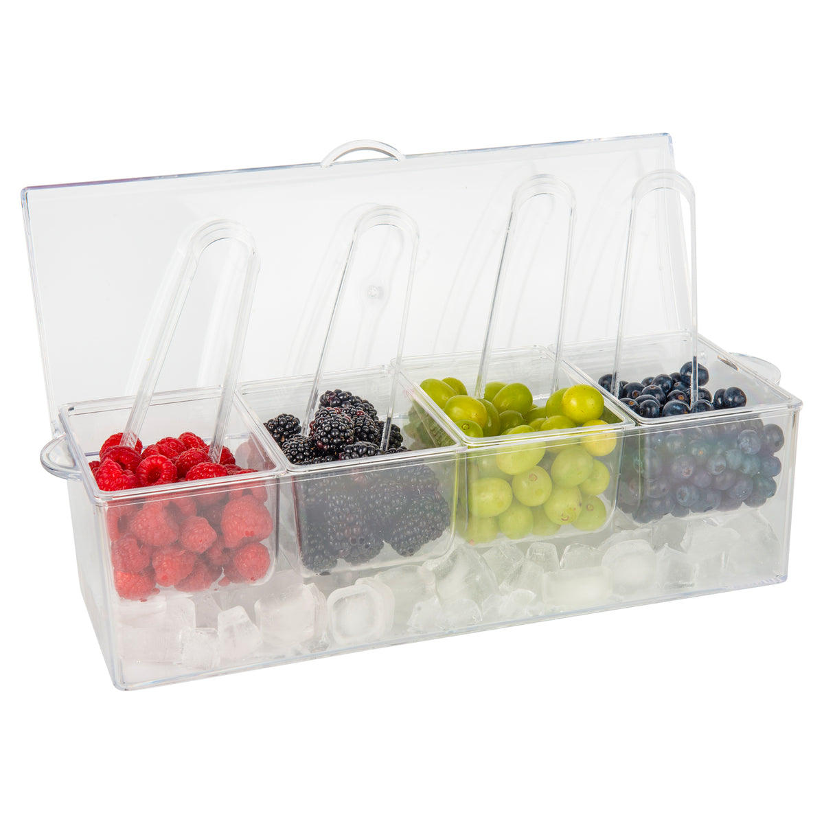 Condiment Serving Container with 4 inserts and tongs Kitchen