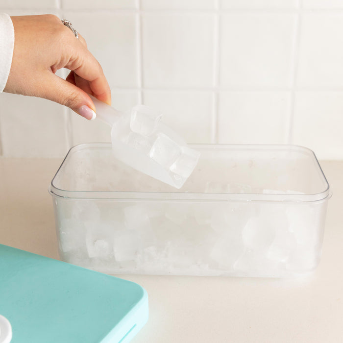 One push ice cube tray with storage box