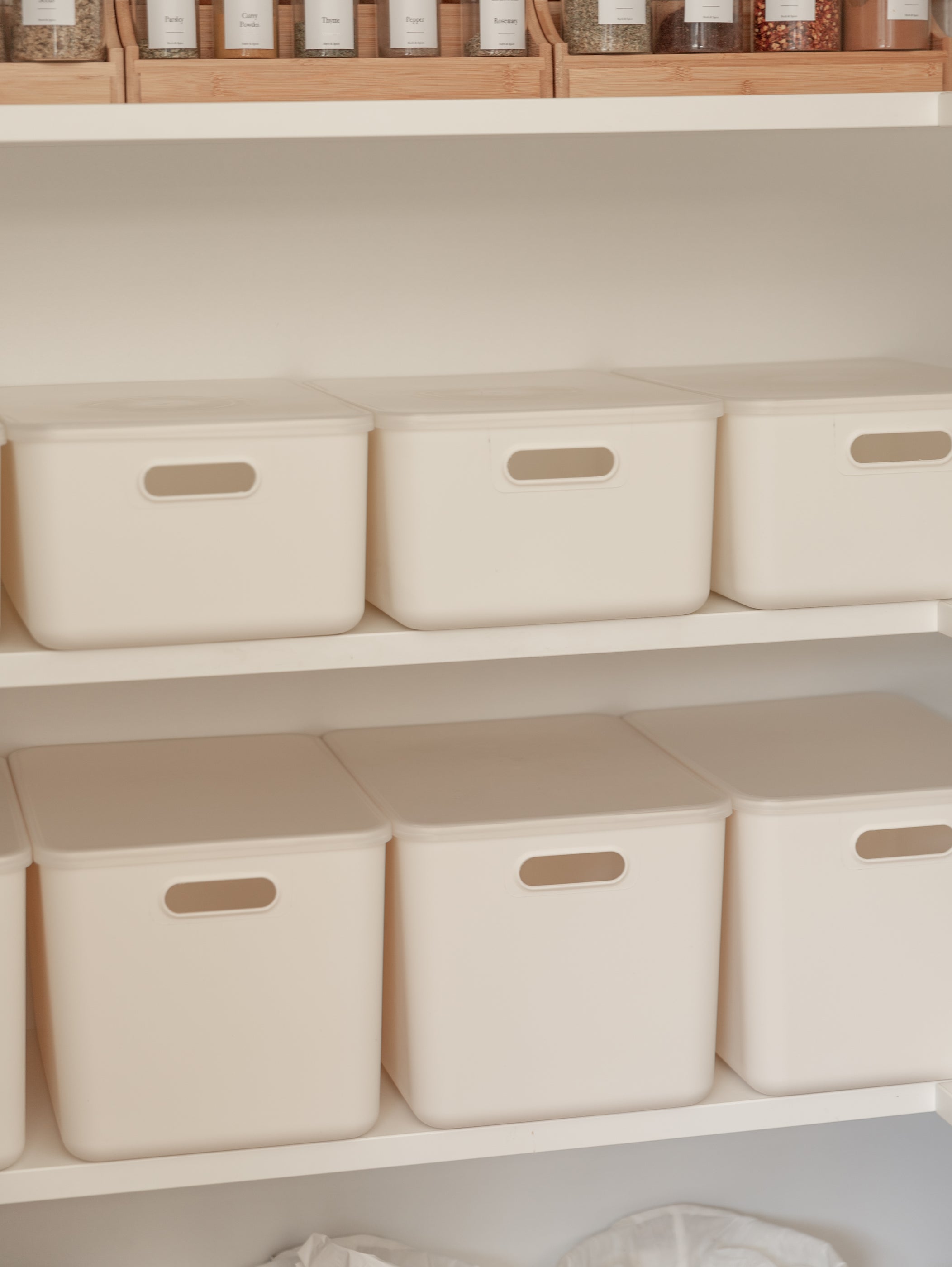White Storage Container with Plastic Lid - 8 Pack - Little Label Co