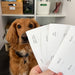 Pet Care Sticker Pack (24 Stickers) - Little Label Co Australia - The Home of Organisation For Kitchen, Bathroom, Laundry & More