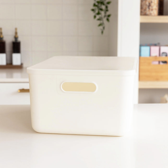 Storage Container with Plastic Lid- Large