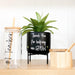 Bamboo Salt & Pepper Box - Little Label Co - Condiment Dispensers - 60%, warehouse